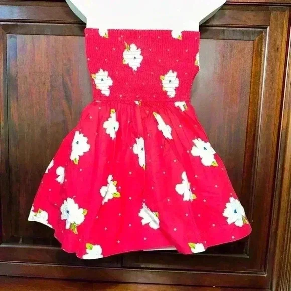 Abercrombie & Fitch Red Floral Dress Size L Kids - Picture 3 of 13
